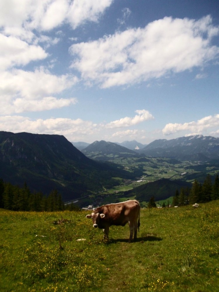 "Du stehst im Weg." "Nein, du gehst auf meinem Weg."