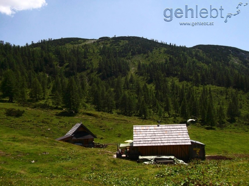 Auf der Leistalmhütte sollte man unbedingt die Brettljause probieren, vor allem wenn man Mörderhunger hat.