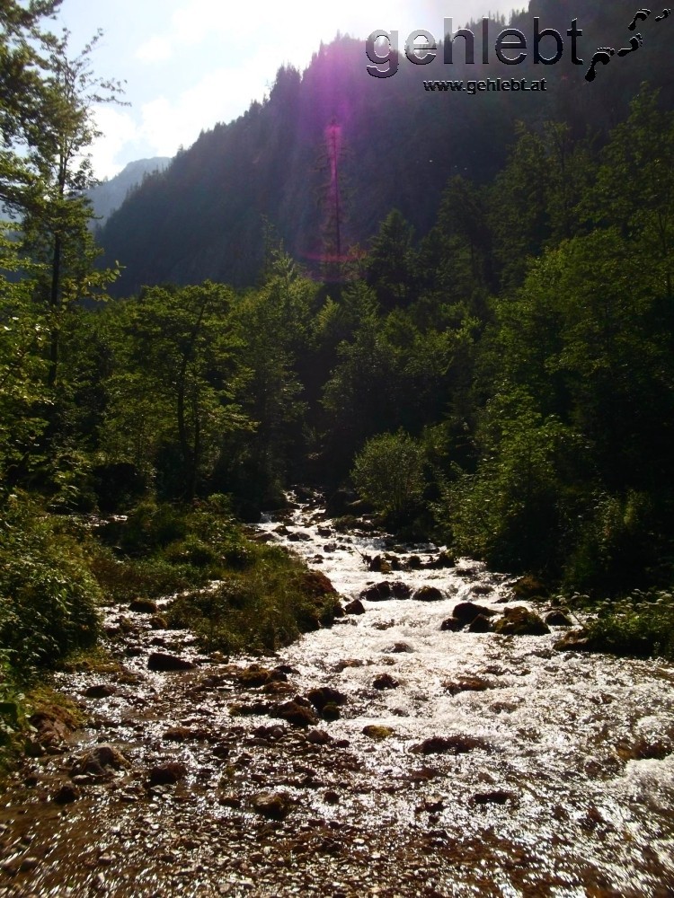 Kaltes, klares Wasser sprudelt aus dem Steyr-Ursprung.