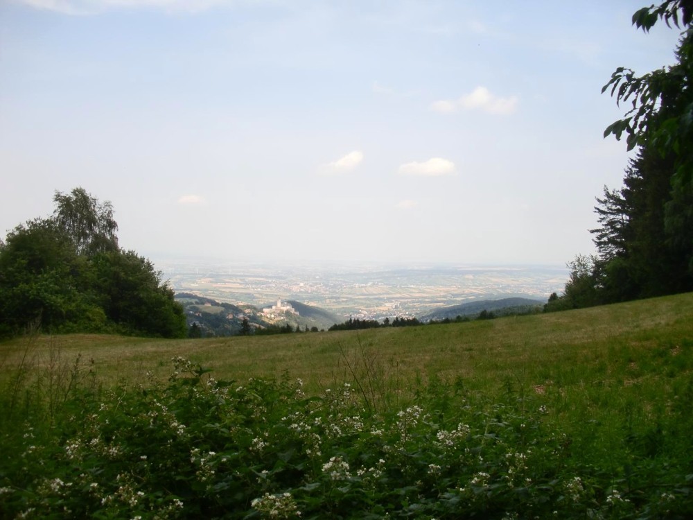 Mit Blick auf Mattersburg und Forchtenstein kann die Rosalia auftrumpfen.