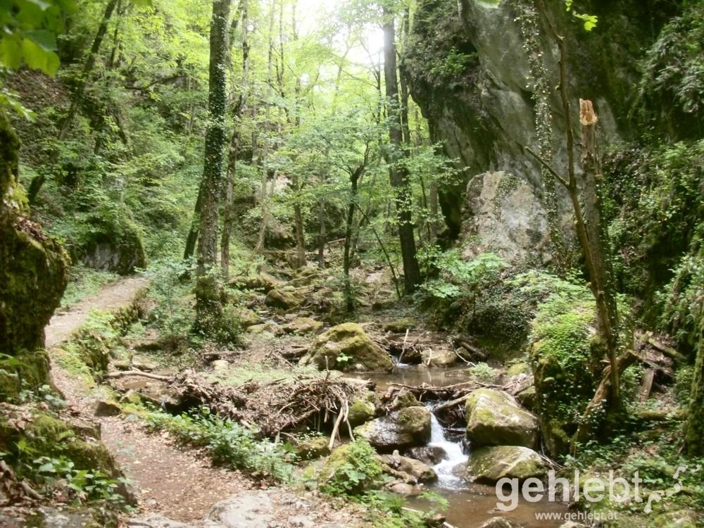 Der Weg führt bei Würflach durch die wildromantische Johannesbachklamm.