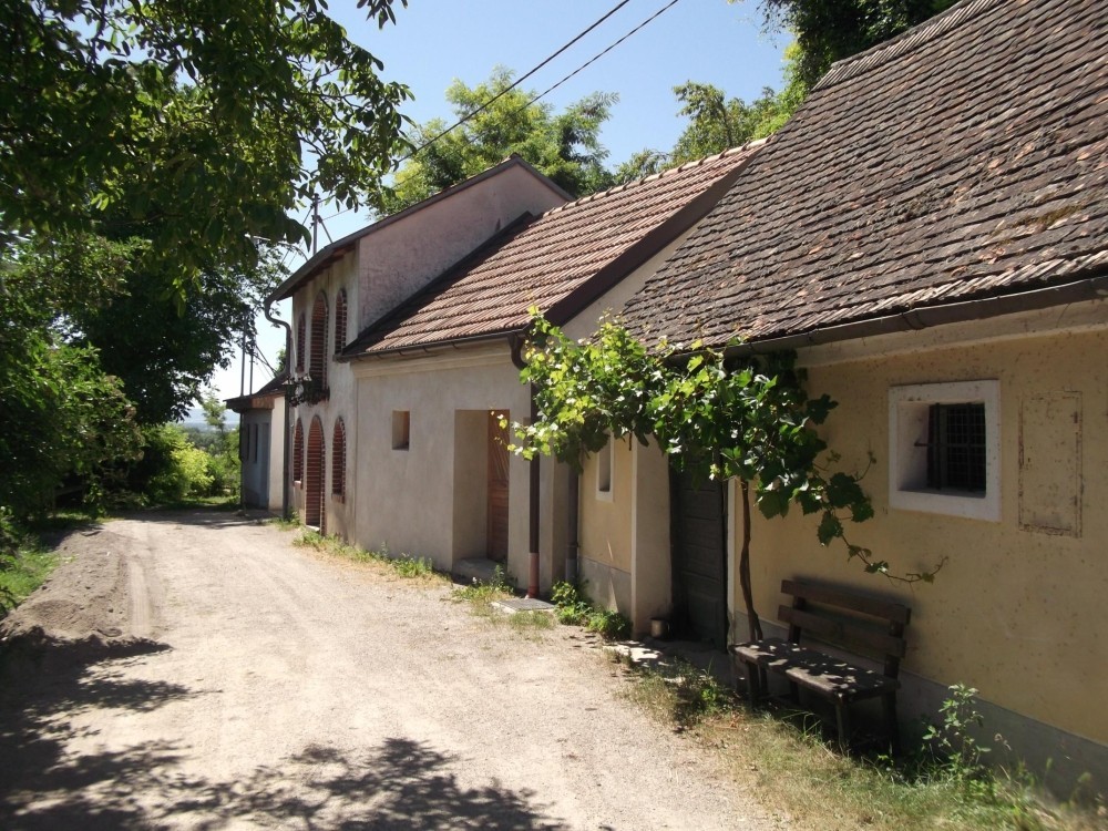 Urige Kellergassen bezeichnen den Wanderweg in der Wagram-Region.