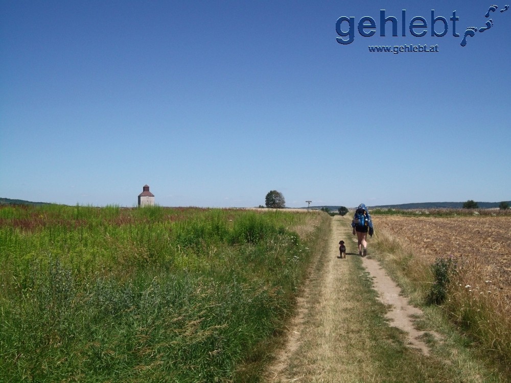 Wer schon einmal am spanischen Jakobsweg unterwegs war, kann durchaus landschaftliche Parallelen erkennen.