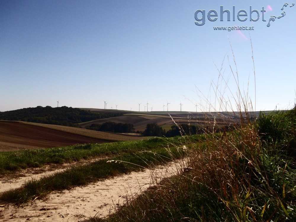 Das Weinviertel zeigt sich von seiner Windkraft-Seite.