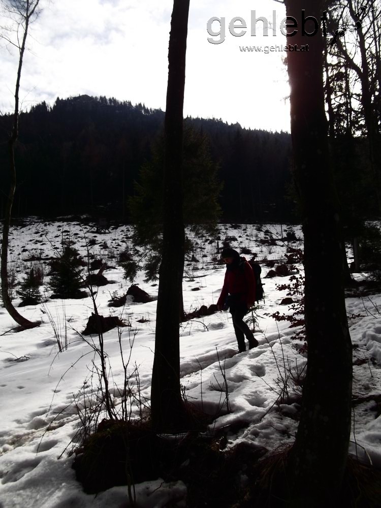 Am Nordhang des Schobersteins liegt noch Schnee, eine Seltenheit des heurigen Winters an der Alpennordseite.