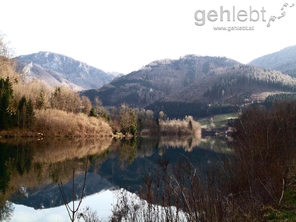 Spiegelungen an der Enns bei Ternberg.