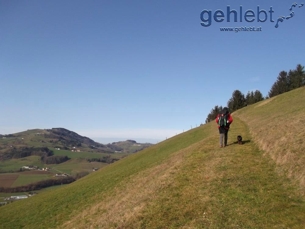 Unglaublich geniales Wanderwetter Mitte Februar.