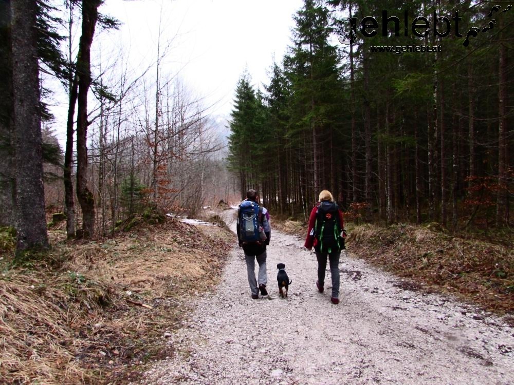 Die Wandertruppe auf einem Foto vereint.