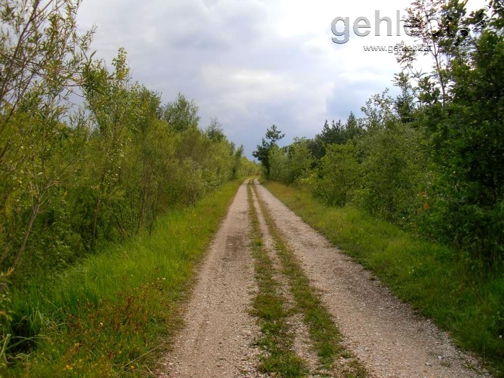 Schotterautobahn am Hochwasserschutzdamm