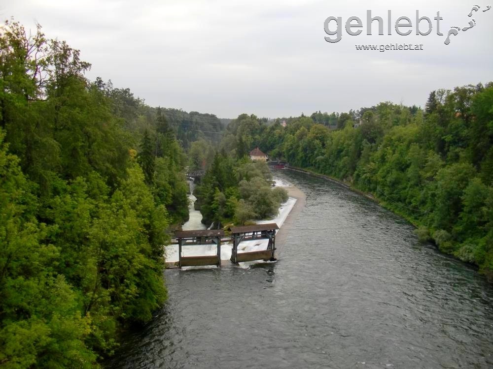 am Traunfall bei Roitham