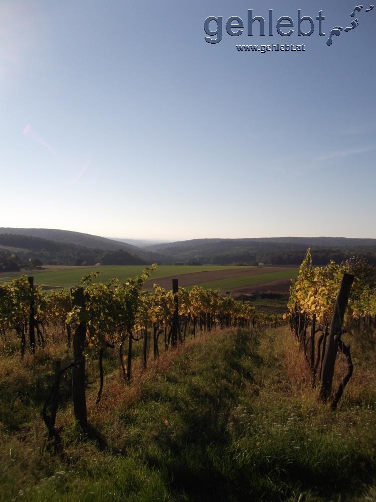 Der Herbst im Kreuttal kann paradiesisch sein.