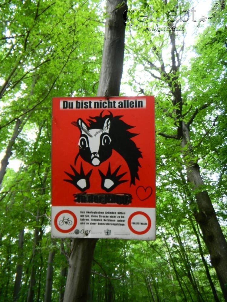 Nicht vergessen: Man ist Gast in der Natur.