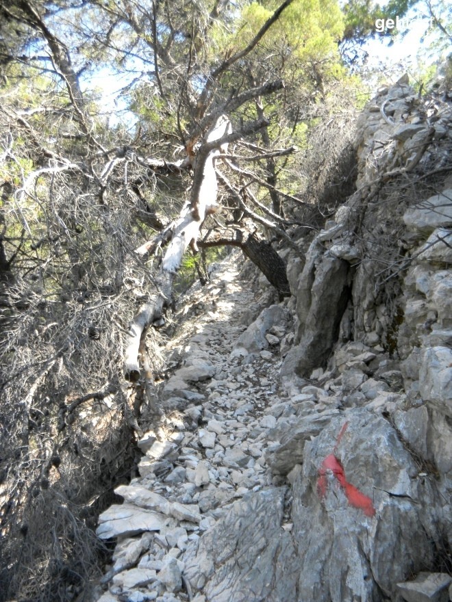 Steiniger Bergpfad