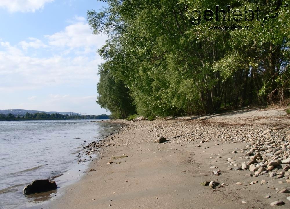 Strandfeeling an der Donauinsel