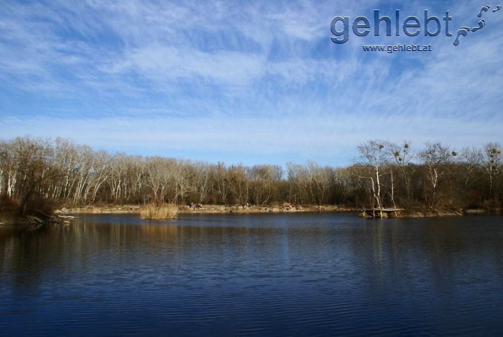 Bunte Kontraste an der Dechantlacke in der Lobau.