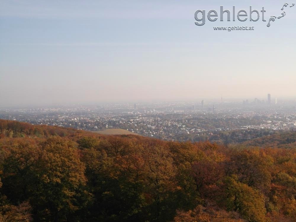 Blick auf Wien von der Jubiläumswarte.