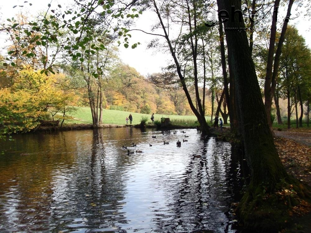 Am Parapluieteich im Schwarzenbergpark.