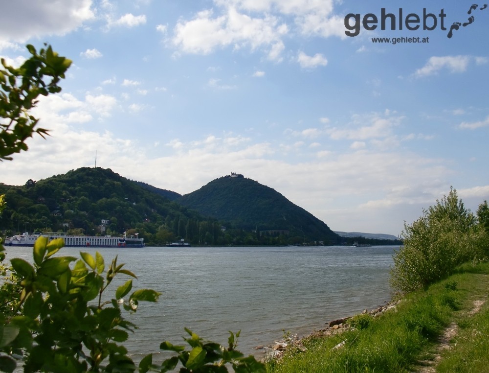 Blick vom Westufer der Donauinsel auf den Leopoldsberg - RUW 10.