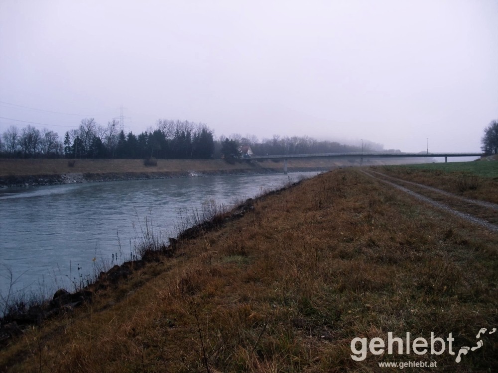 Entlang dem Rhein trifft man so gut wie niemanden.