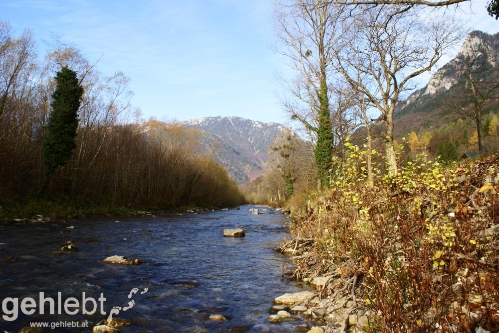 An der Schwarza in Niederösterreich.