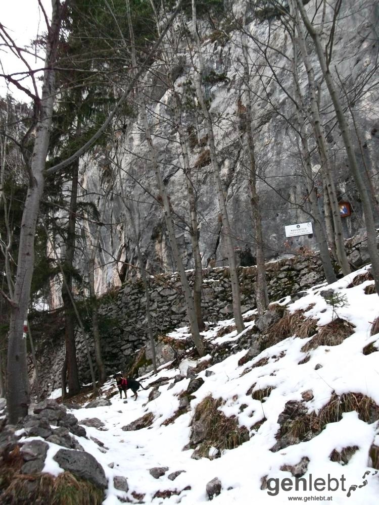 Winterwanderung Naturfreundehaus Knofeleben - Mariensteig