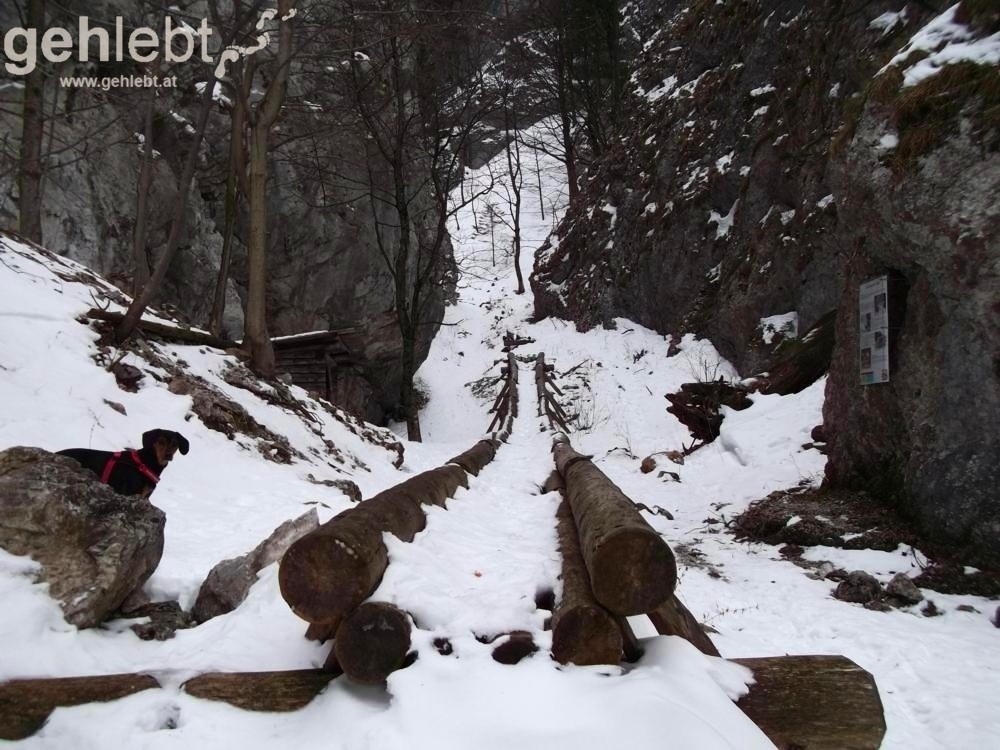 Winterwanderung Naturfreundehaus Knofeleben - Holzriese in der Eng-Schlucht