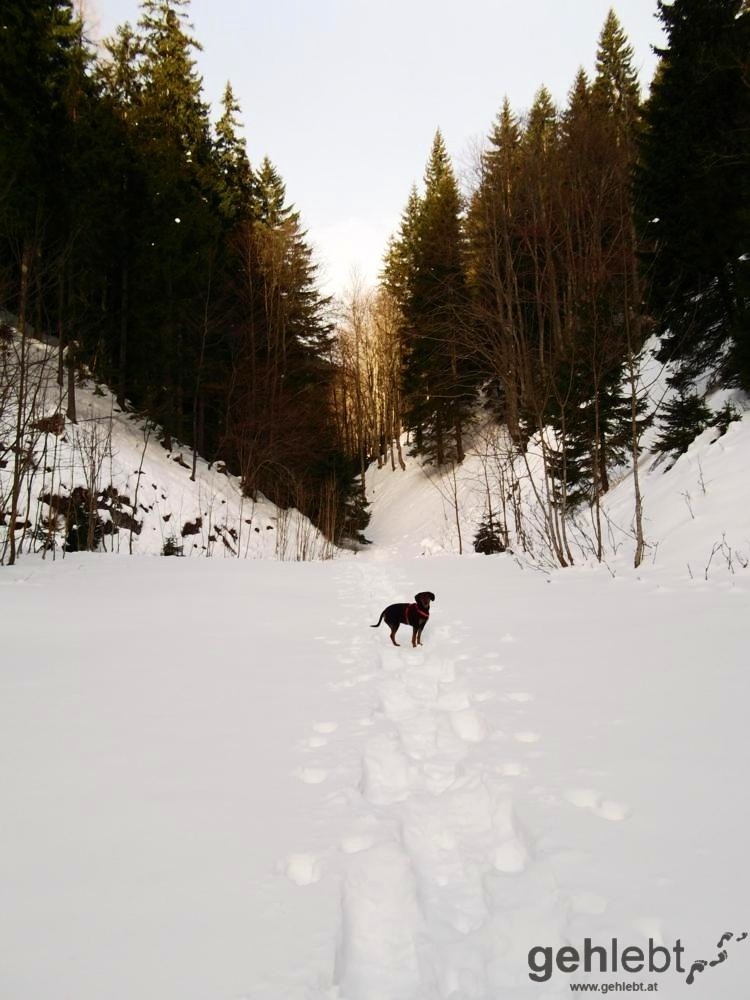 Winterwanderung Naturfreundehaus Knofeleben - Sonnenstrahlen kommen durch die Schlucht