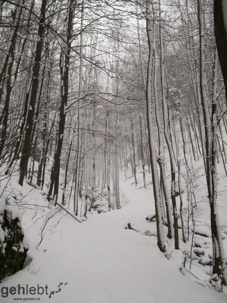 Hirschwaldstein - Aufstieg Altpernstein