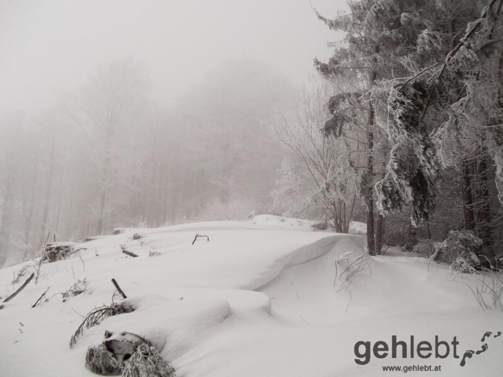 Hirschwaldstein - Schnee über Schnee