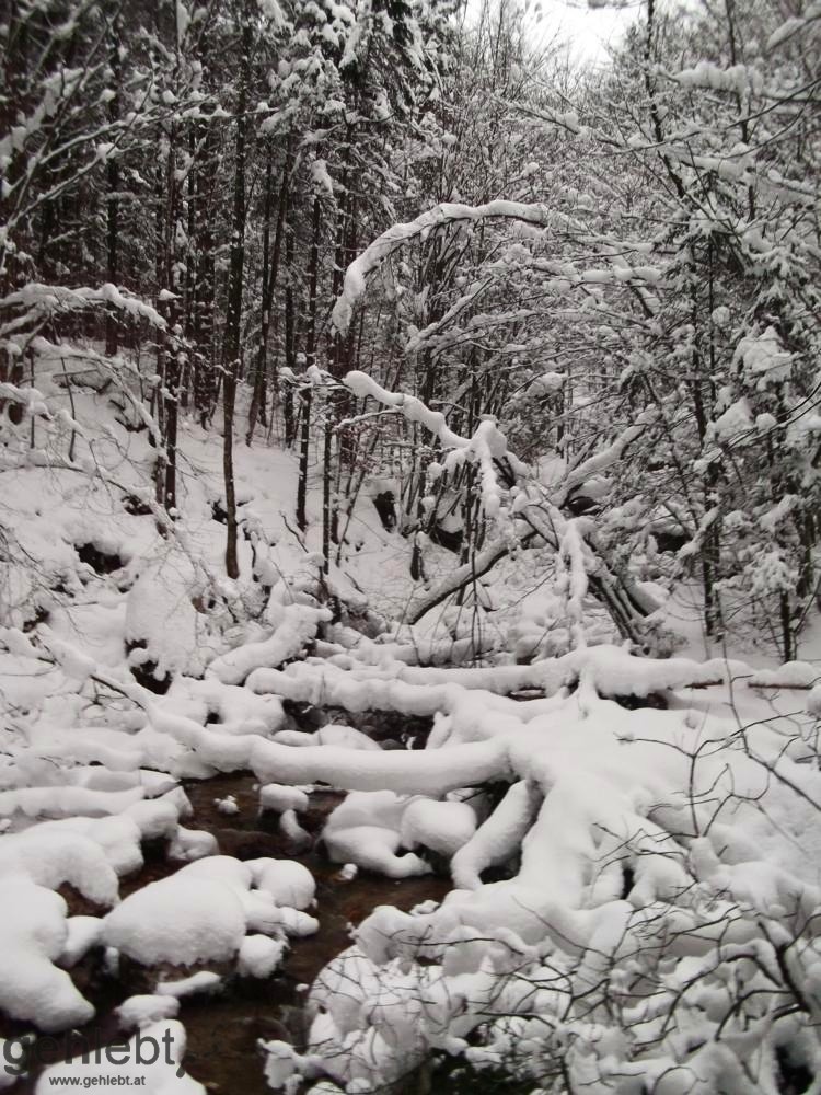 Schabenreitnerstein - Winterlandschaft