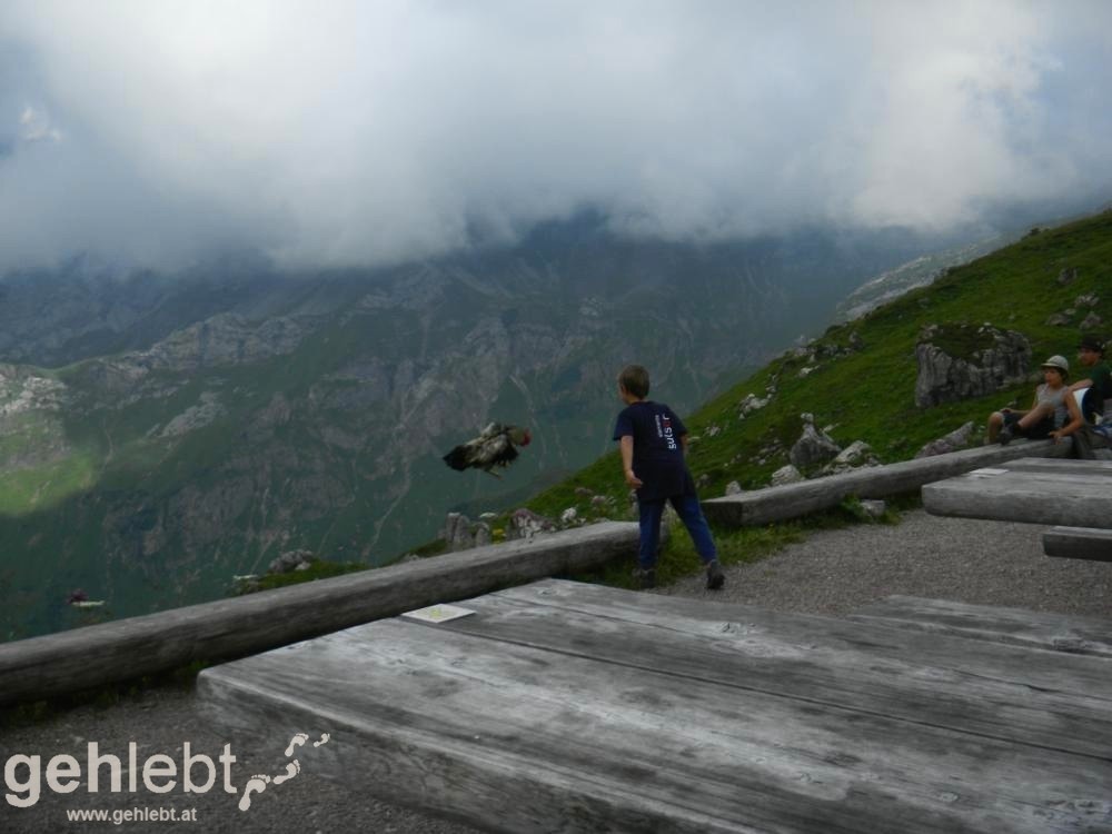 Augstenberg, Liechtenstein - der Hahn der Hütte