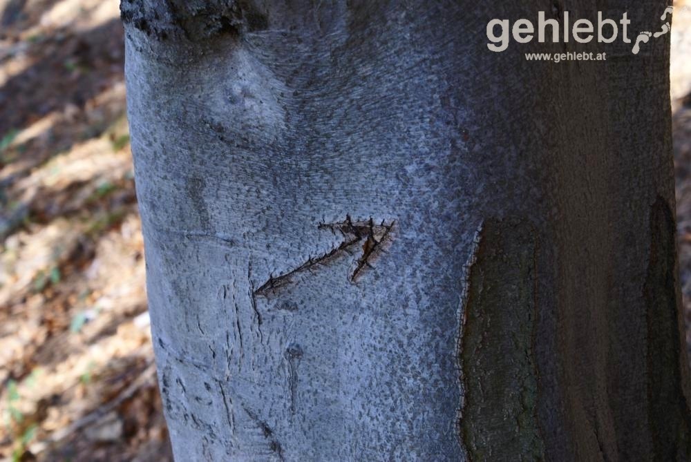 Ein eindeutiger Wegweiser.