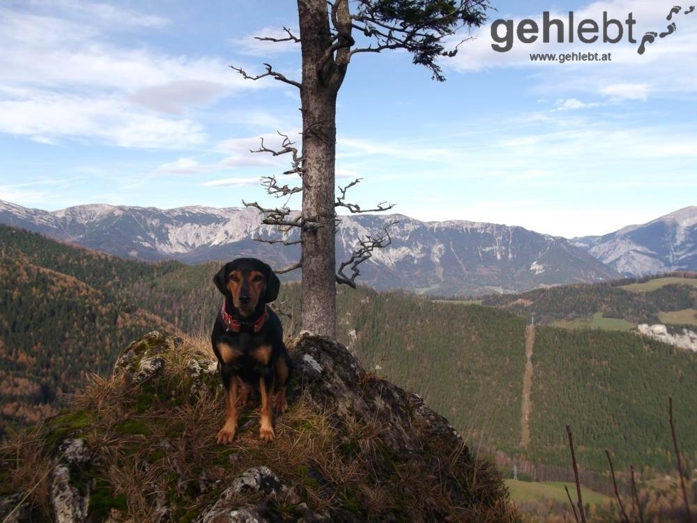 Die Modelkarriere ist selbst über zwei Jahre nach "WIEN GEHT GASSI" noch intakt.