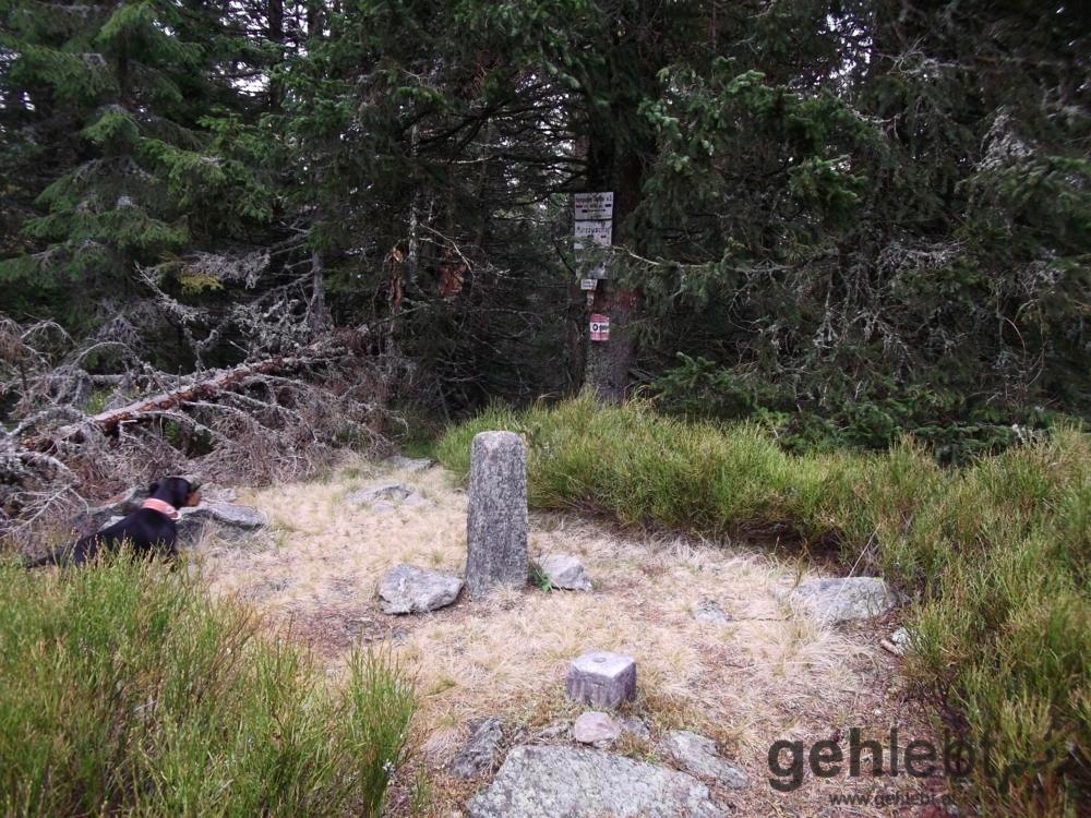 Der höchste Punkt der Tour: der Tratenkogel (früher auch Drahtekogel) mit 1.565m - keine Aussicht.