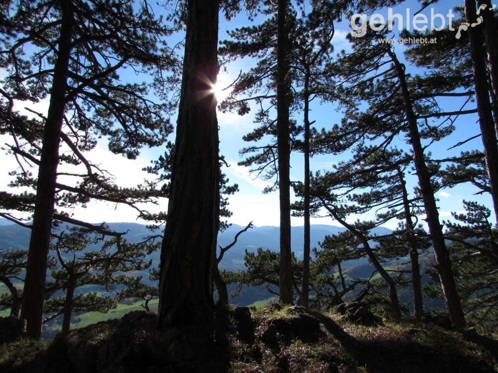 Sonnige, schattige Zwischenrast am Vormittagsstein.