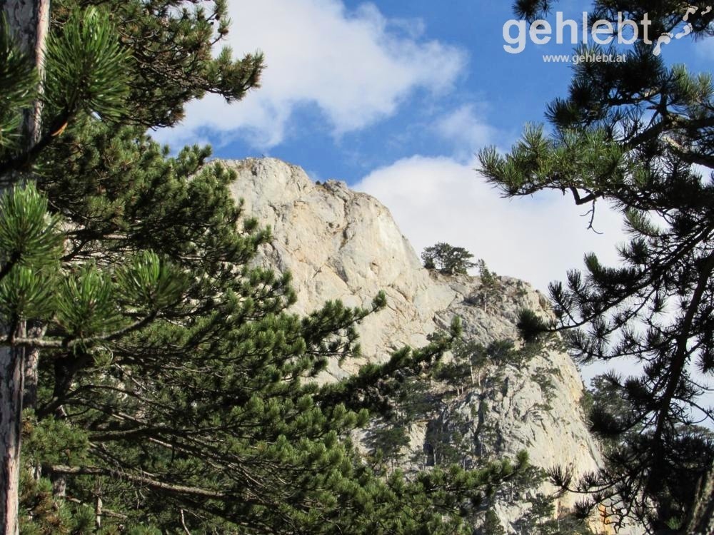 Der Stein vom Mittagstein im Sonnenlicht.