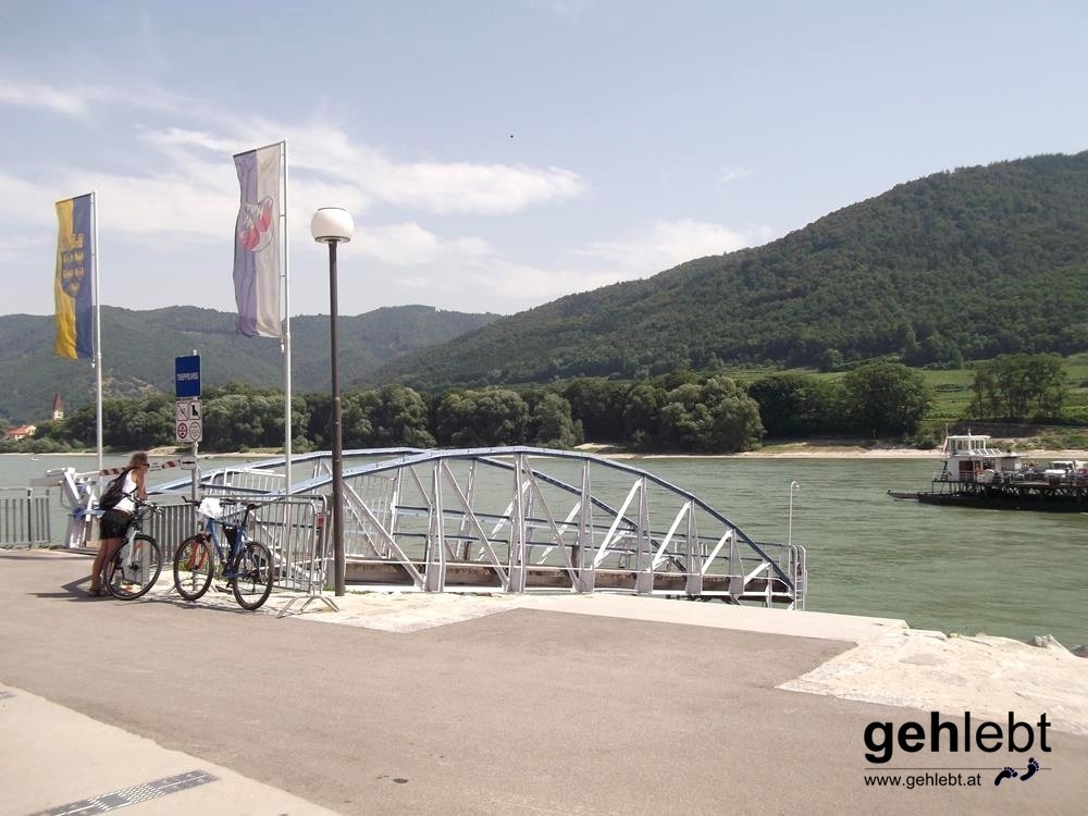 Im Viertelstundentakt schifft die Fähre Personen, Fahrräder und sogar Autos über die Donau.