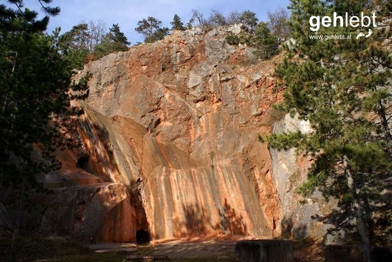 Steiniger Rundweg in den Fischauer Vorbergen