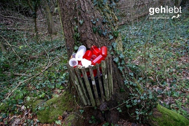 Steiniger Rundweg in den Fischauer Vorbergen