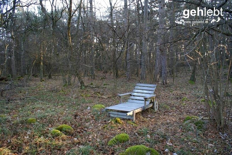 Steiniger Rundweg in den Fischauer Vorbergen