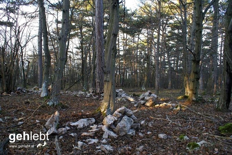 Steiniger Rundweg in den Fischauer Vorbergen