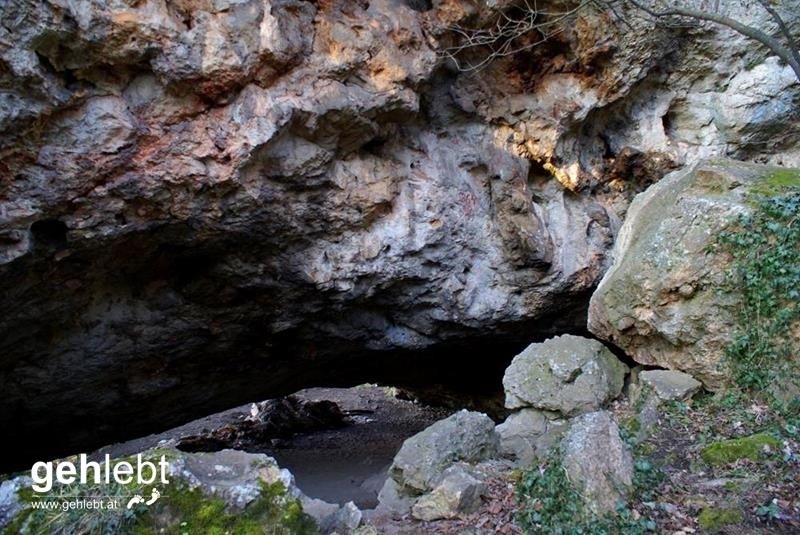 Steiniger Rundweg in den Fischauer Vorbergen