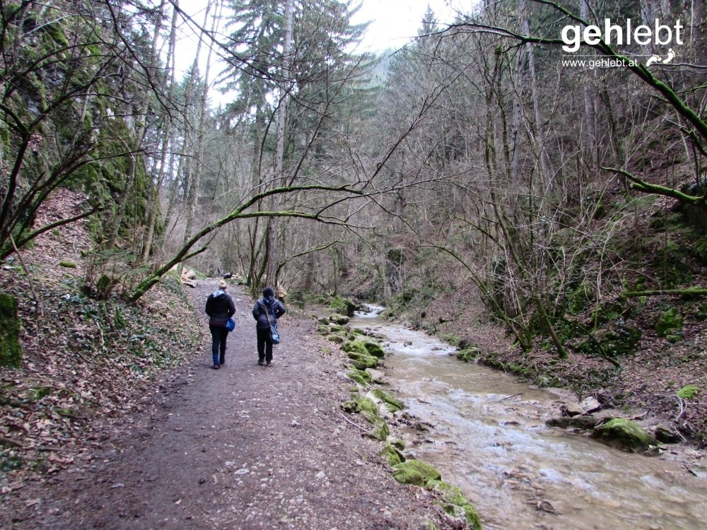 Am Beginn der Johannesbachklamm fließt der Bach noch eher gemächlich.