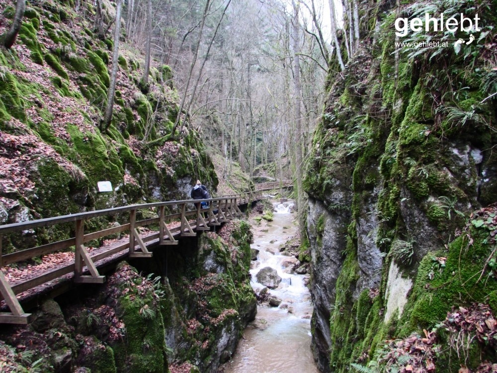 Gut angelegte und versicherte Holzstege verwandeln die Begehung der Johannesbachklamm in eine Genusstour.