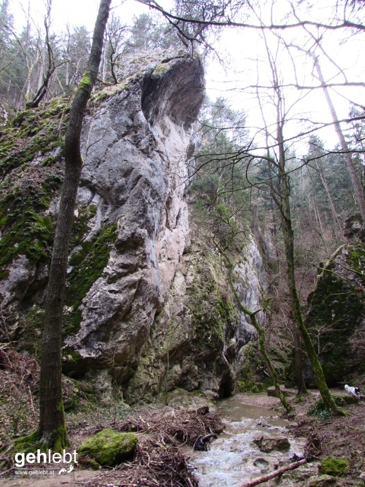 Schroff präsentiert sich die Klamm.