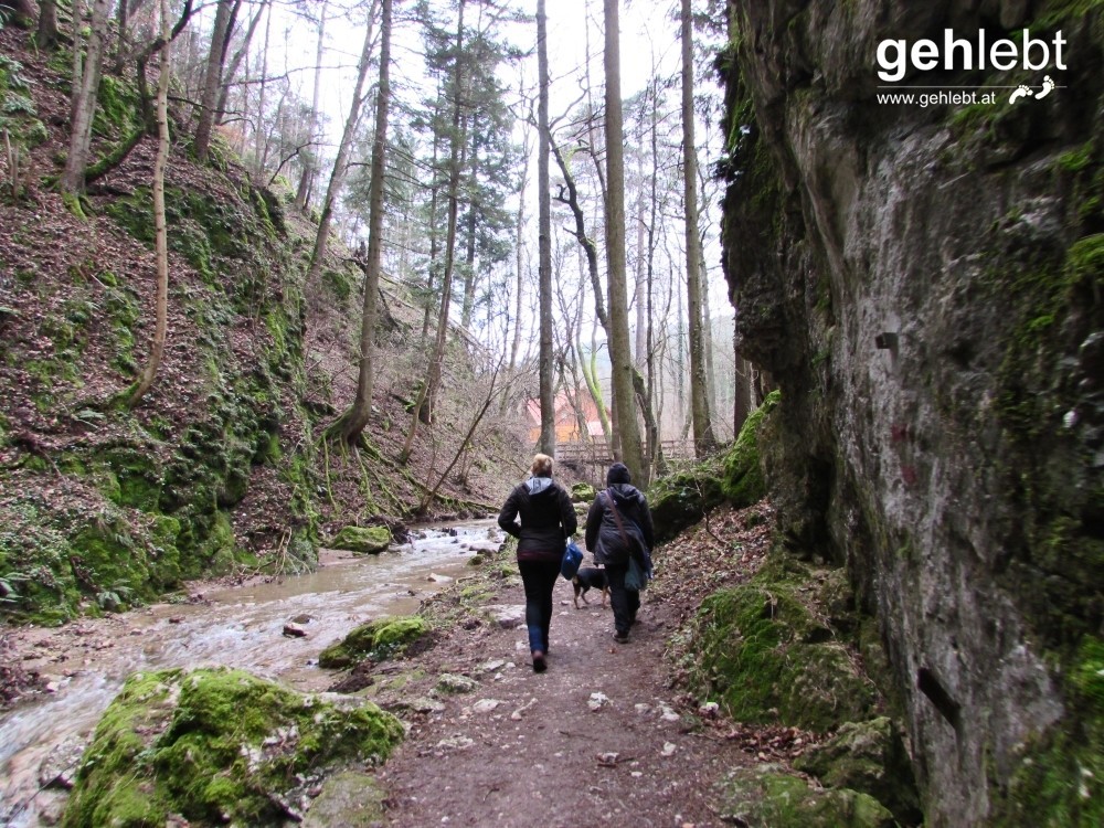 Am Ausgang der Johannesbachklamm blitzt uns die Schutzhütte schon entgegen.