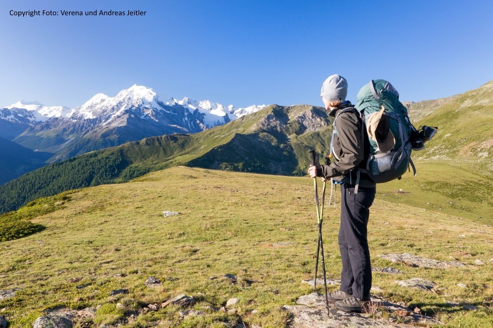 Jeitler-Blick Ortler