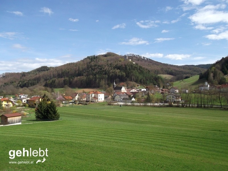 Die Weingartengasse führt uns nach Thernberg.