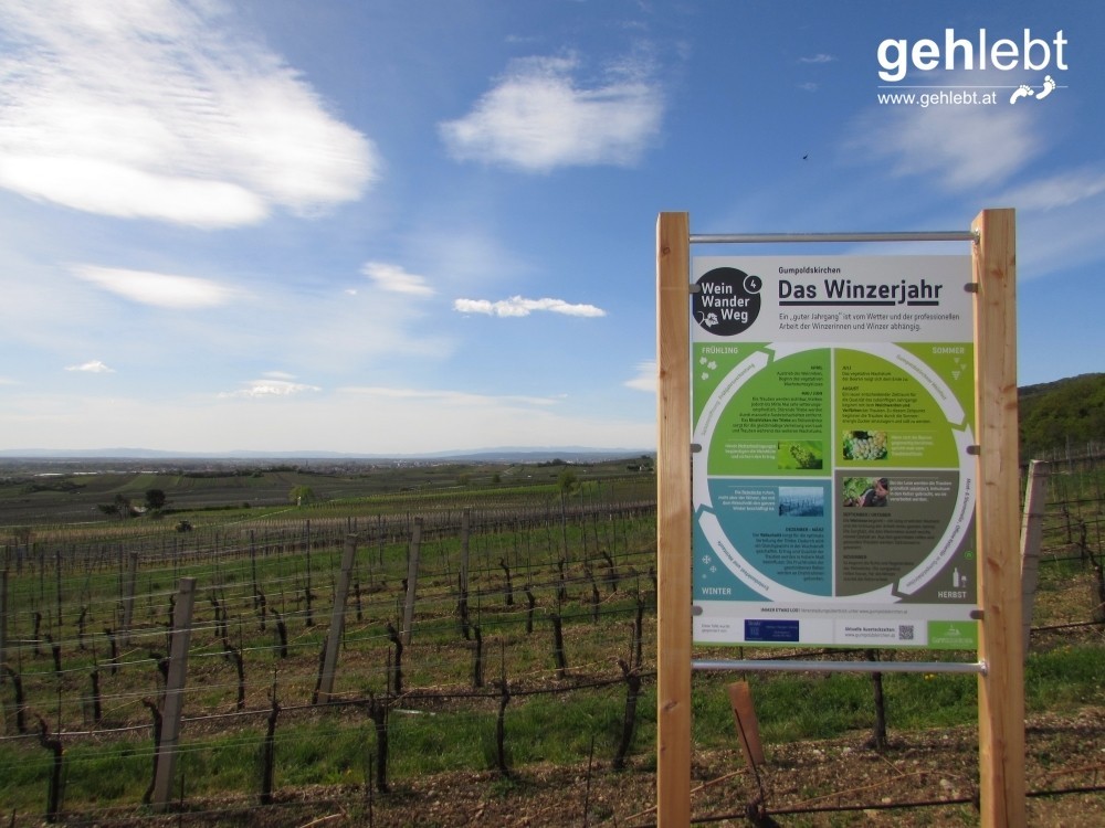 An der Station "Winzerjahr" blickt man bei guter Fernsicht bis zum Wechsel.