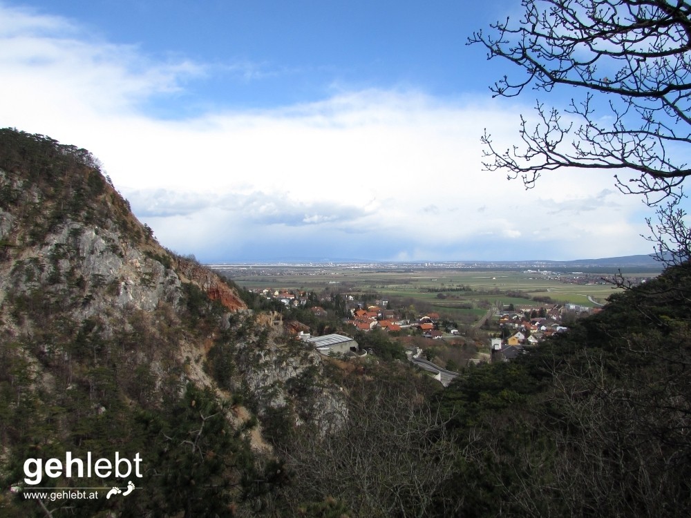 Winzendorfer Rundwanderweg A - Blick vom Steinernen Bankerl